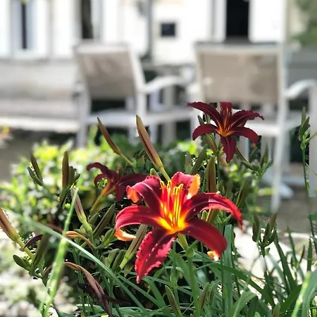 La Gomerie D'hotes סנט-אמיליון