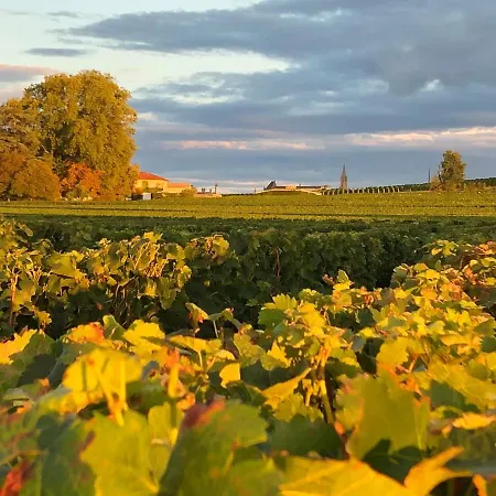 La Gomerie D'hotes Frühstückspension Saint-Émilion
